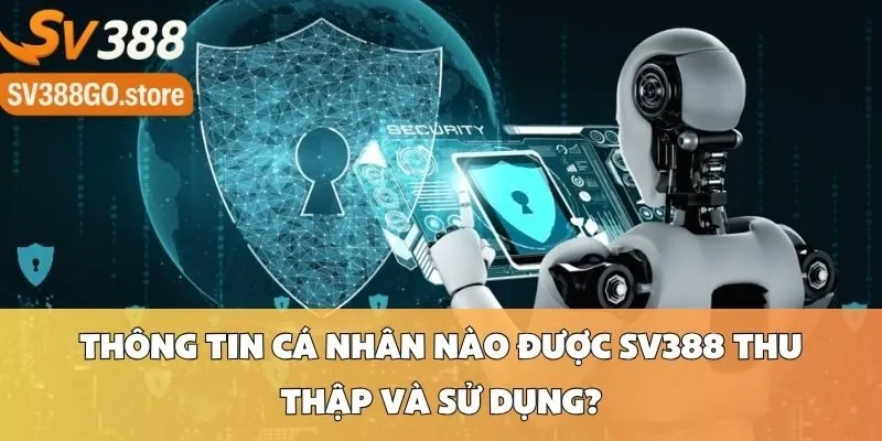 Thông Tin Cá Nhân Nào Được SV388 Thu Thập và Sử Dụng?