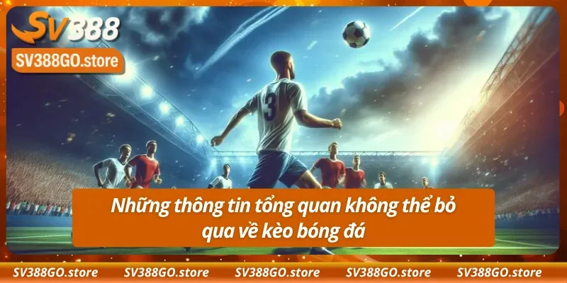 Những thông tin tổng quan không thể bỏ qua về kèo bóng đá