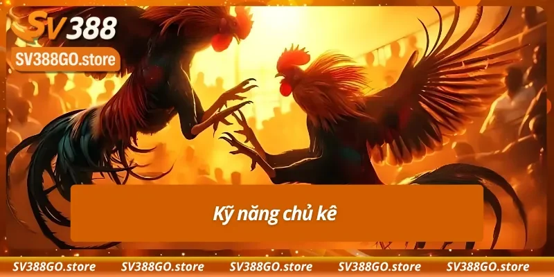 Kinh nghiệm của sư kê quyết định trực tiếp đến kèo Meron