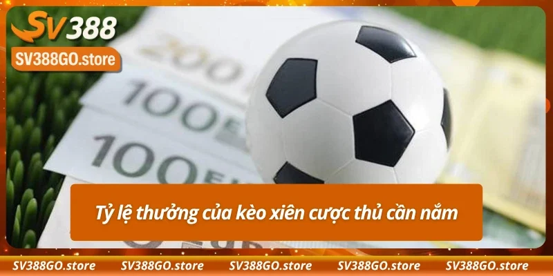 Lợi nhuận ấn tượng mà kèo xiên SV388 mang lại