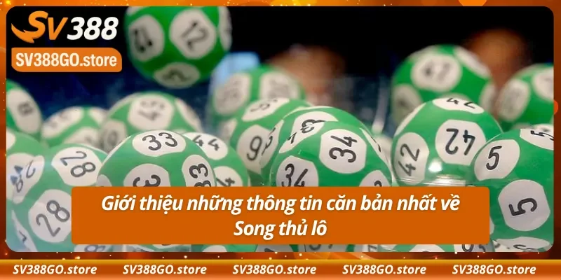 Giới thiệu những thông tin căn bản nhất về Song thủ lô